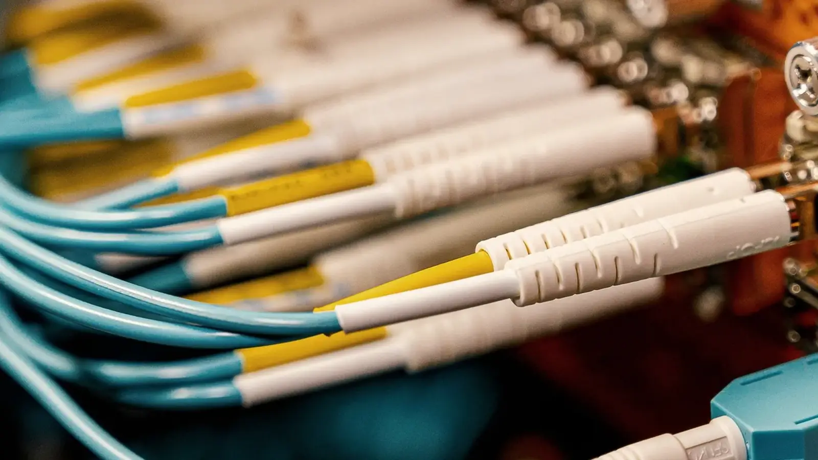 Blue-lit fibre network cabling